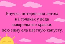 Photo of Какой юмор наиболее популярен?