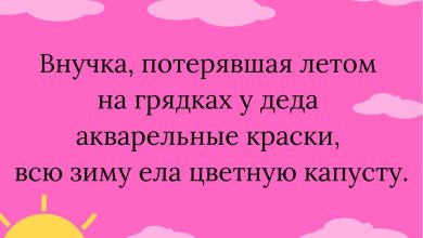 Photo of Какой юмор наиболее популярен?