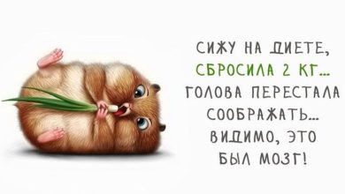 Photo of Польза юмора для здоровья