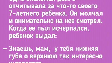 Photo of Улетный юмор: отборные шутки