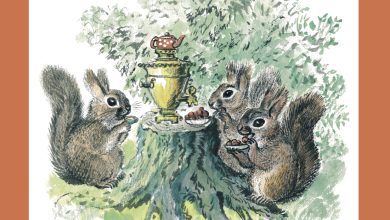 Photo of Шутки по доступной цене