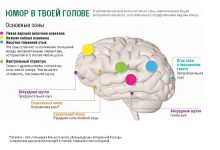 Photo of Что происходит в мозгу, когда мы смеемся