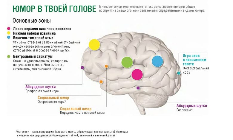 Photo of Что происходит в мозгу, когда мы смеемся