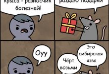 Photo of Прикольные анекдоты за 300