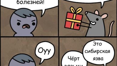 Photo of Смешные истории за 300