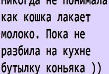 Photo of Забавные и смешные анекдоты