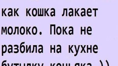 Photo of Забавные и смешные анекдоты