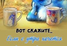 Photo of Заразительный смех: приколы дня