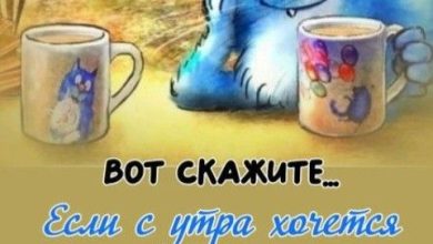 Photo of Заразительный смех: приколы дня