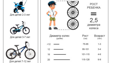 Photo of Основные критерии выбора размера велосипеда для ребенка